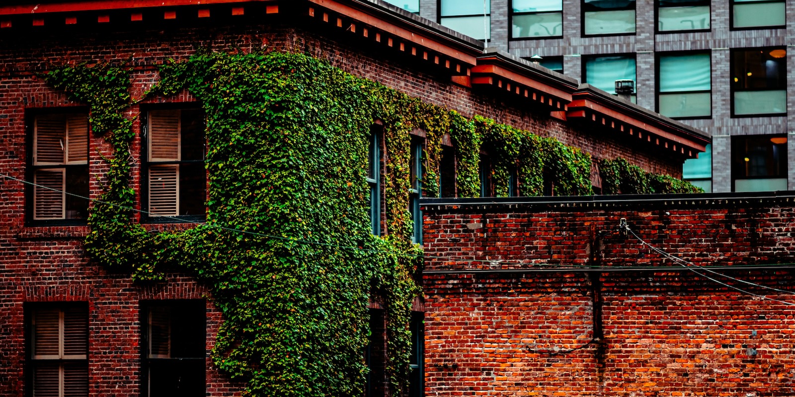 A photo of a red brick building with green vines